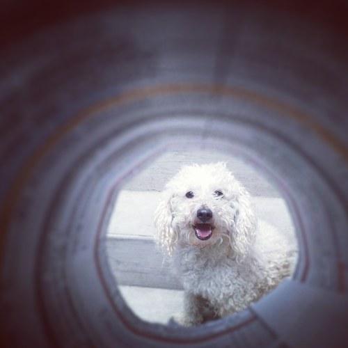 Photo #3782025