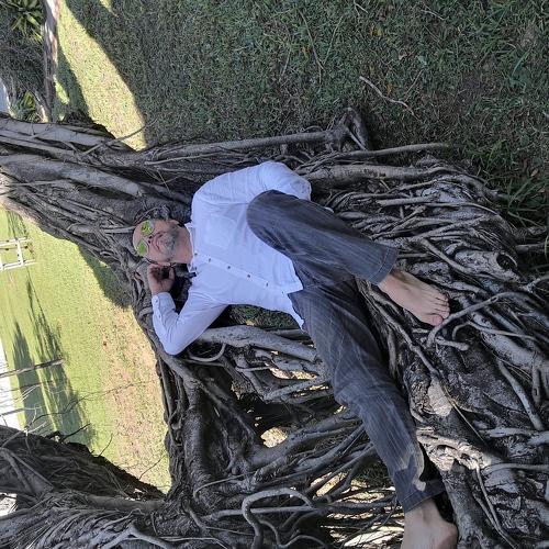 Photo #3782126