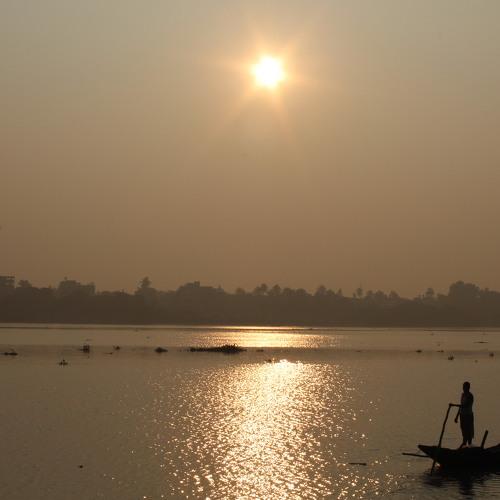 Photo #3782245
