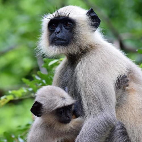 Photo #3782299
