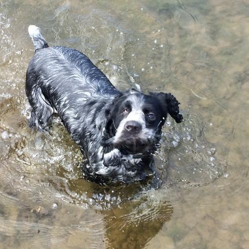 Photo #3782394
