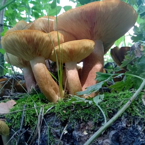 Photo #3782427