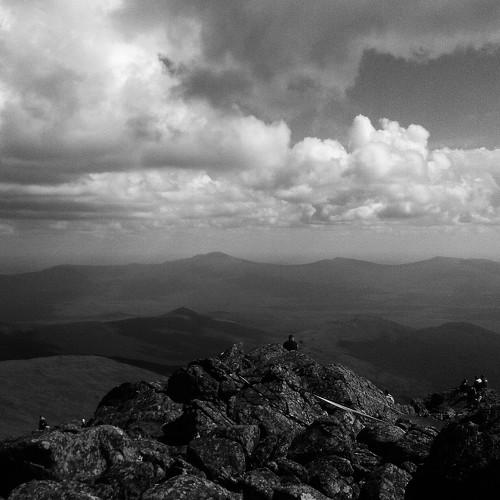 Photo #3783007