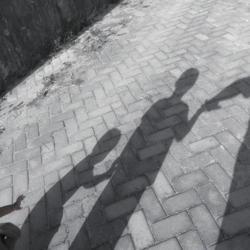 Photo #3783299