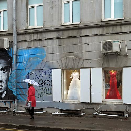 Photo #3783572