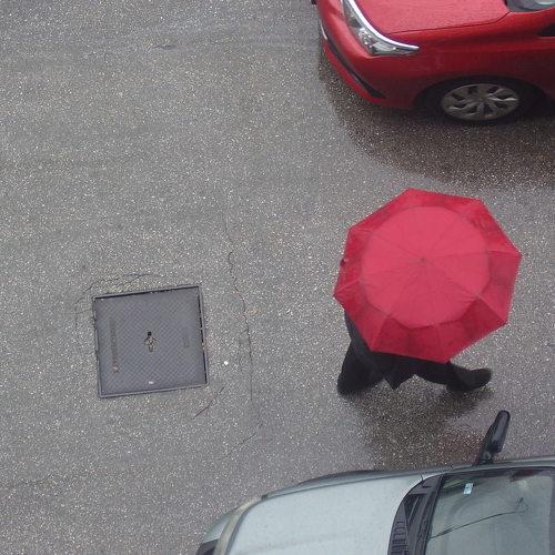 Photo #3784062