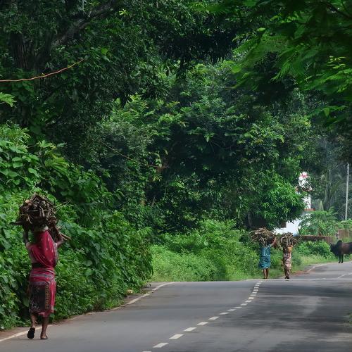 Photo #3784984