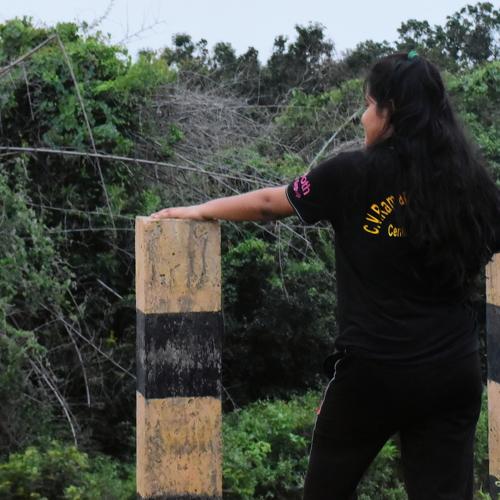 Photo #3784995