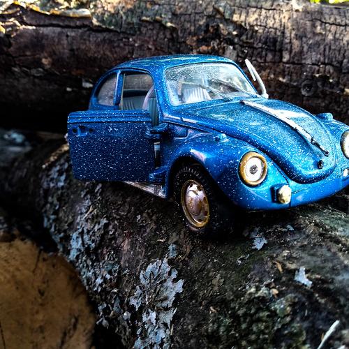 Photo #3785336