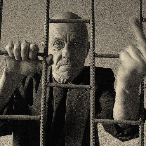 Photo #3785343