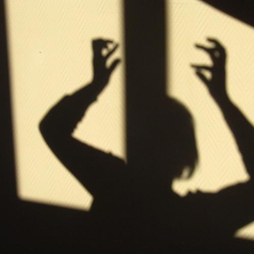 Photo #3785386