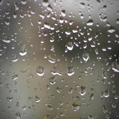 Photo #3785419