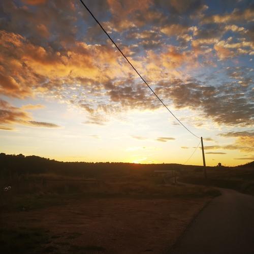 Photo #3785491
