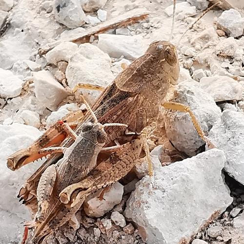 Photo #3785508