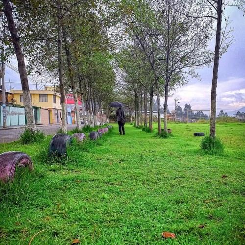 Photo #3785537