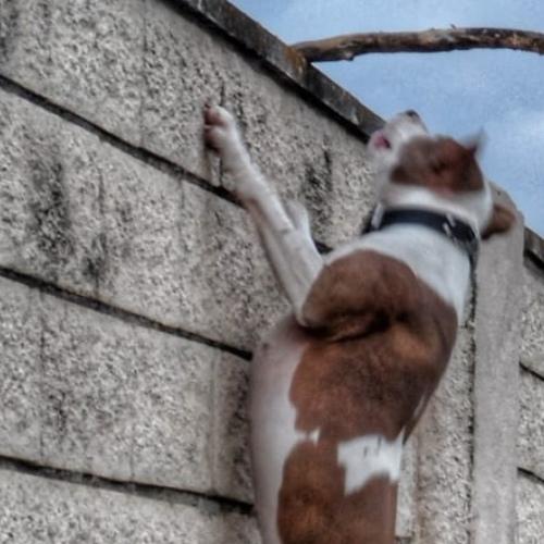 Photo #3785544