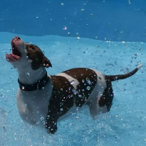 Photo #3785550