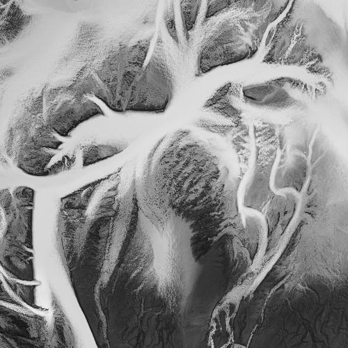 Фотография #3785602