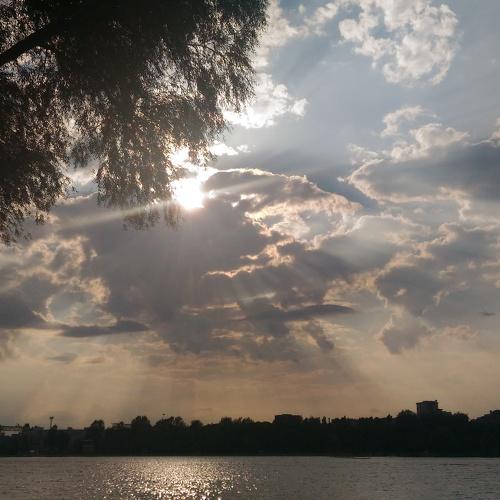 Photo #3785688