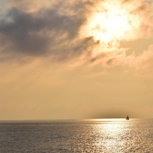 Photo #3785706