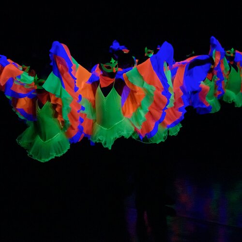 Photo #3786083