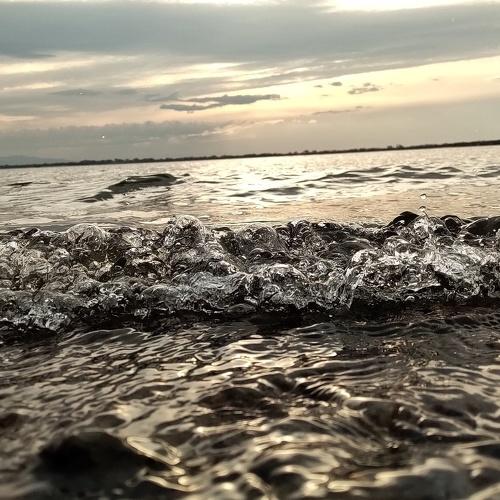 Photo #3786154