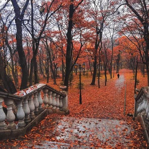 Photo #3786307