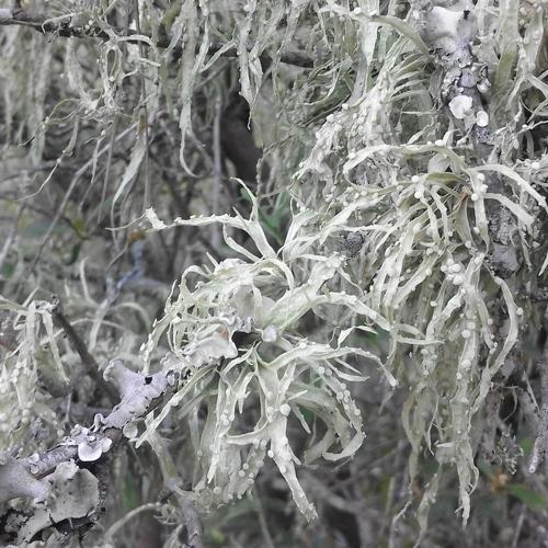 Photo #3786324