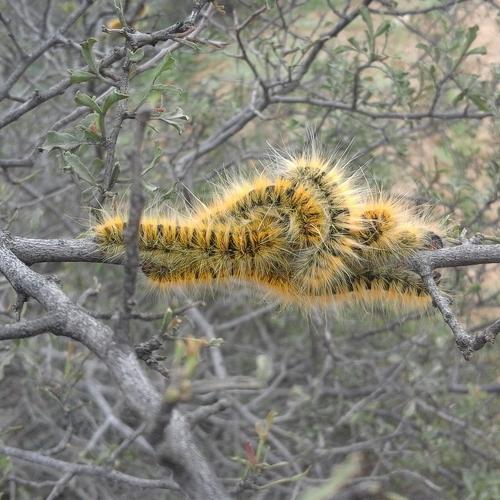 Photo #3786327