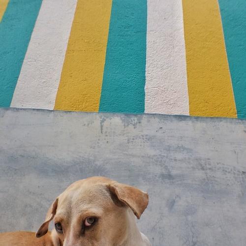 Photo #3786933