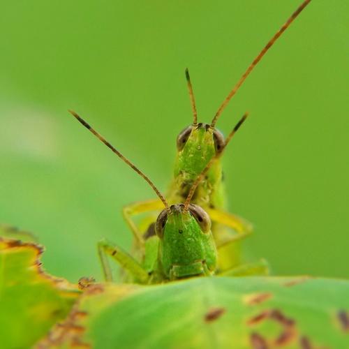 Photo #3786938