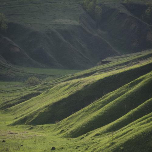 Photo #3787150
