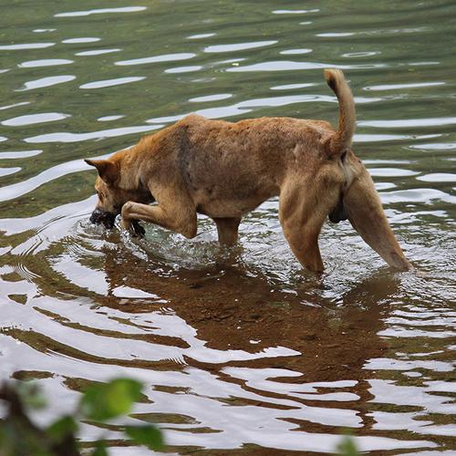 Photo #3787758