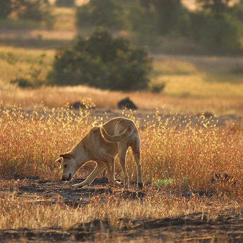 Photo #3787761