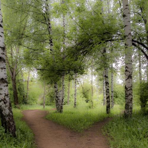 Photo #3788025