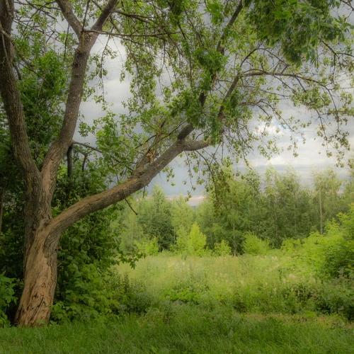 Photo #3788029