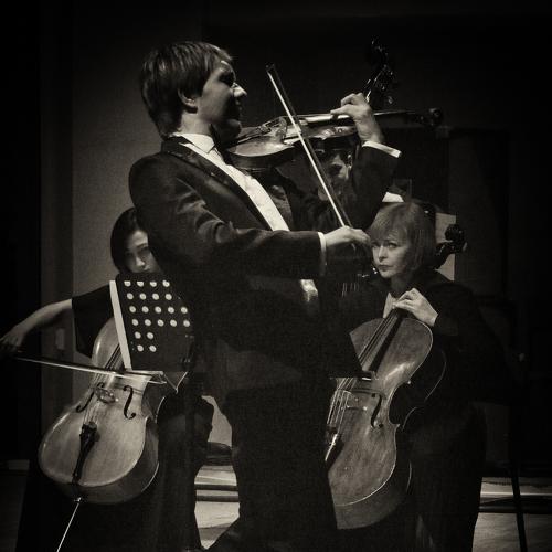 Photo #3788253