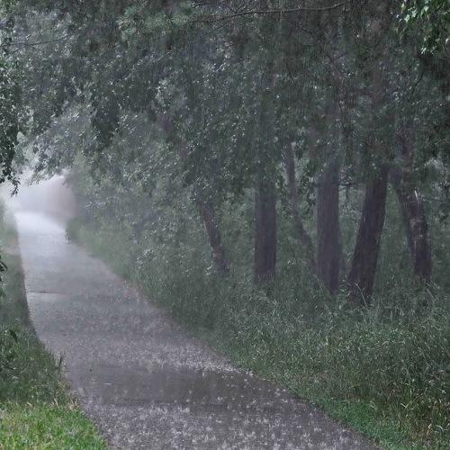 Photo #3788367