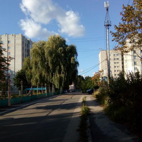 Photo #3789018