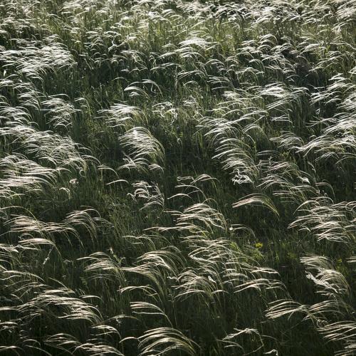 Photo #3789117