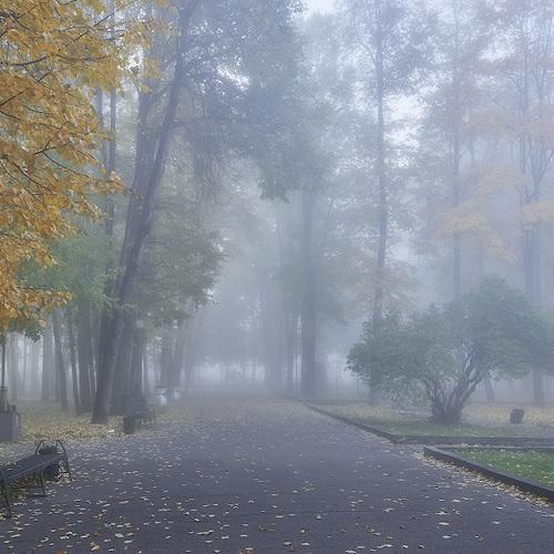 Photo #3789302
