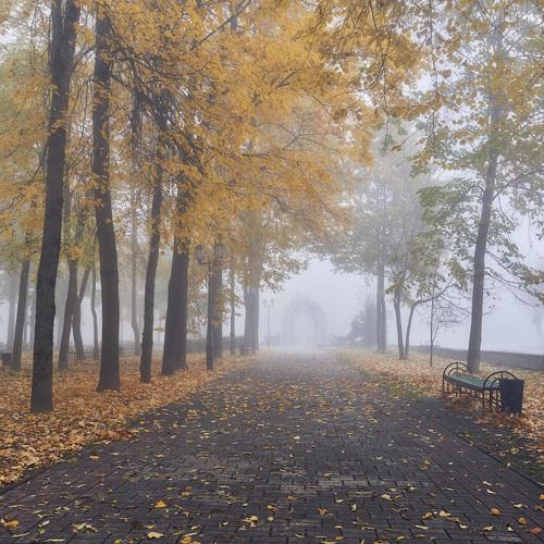 Photo #3789303