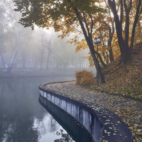 Photo #3789304