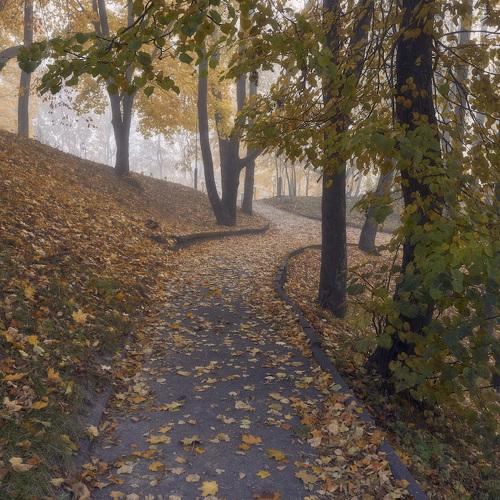 Photo #3789305