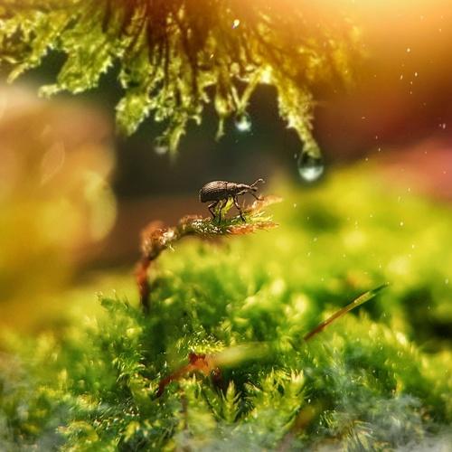 Photo #3789775