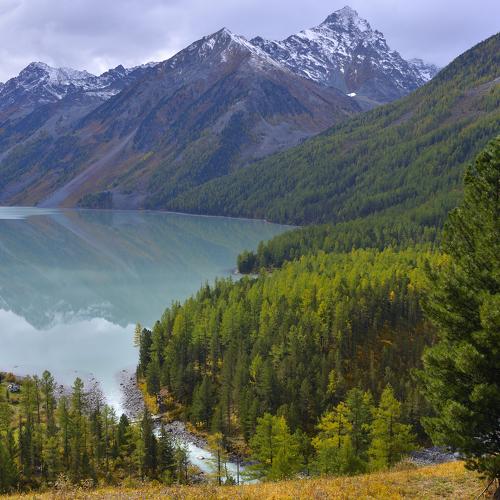 Photo #3789875