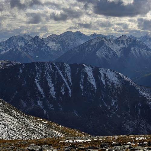Photo #3789895
