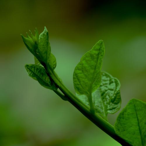 Photo #3790065