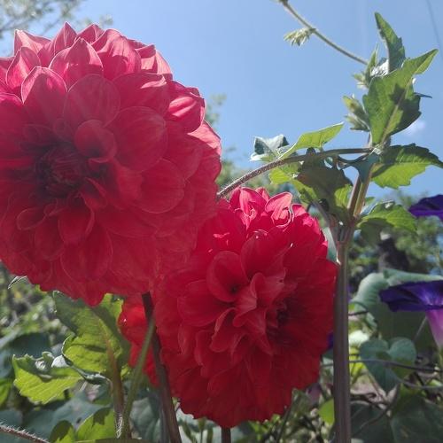 Photo #3790847