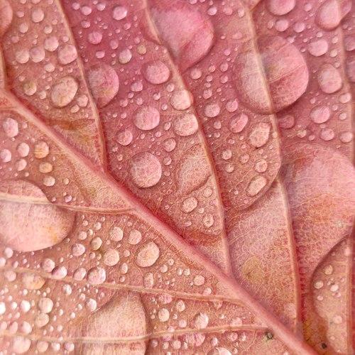 Photo #3791654